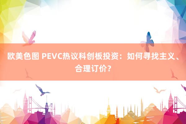 欧美色图 PEVC热议科创板投资：如何寻找主义、合理订价？