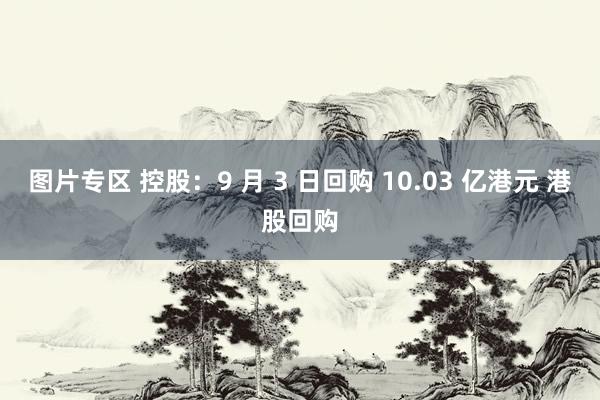 图片专区 控股：9 月 3 日回购 10.03 亿港元 港股回购