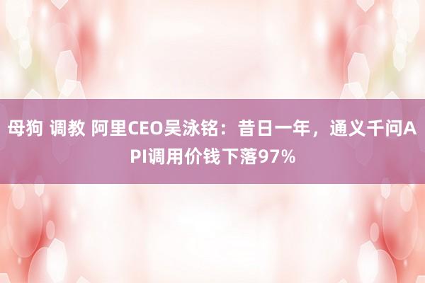 母狗 调教 阿里CEO吴泳铭：昔日一年，通义千问API调用价钱下落97%