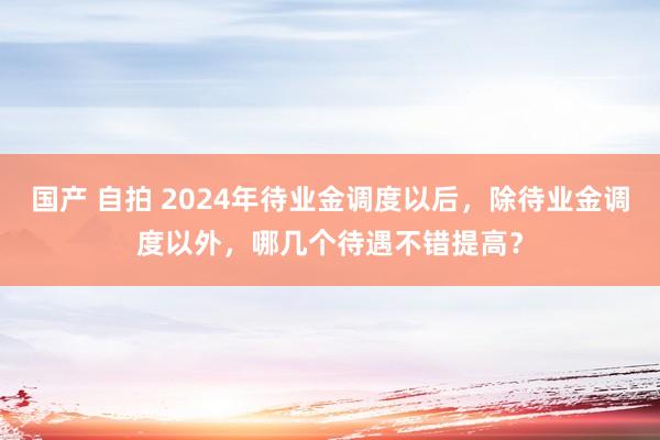 国产 自拍 2024年待业金调度以后，除待业金调度以外，哪几个待遇不错提高？