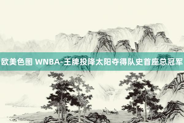 欧美色图 WNBA-王牌投降太阳夺得队史首座总冠军