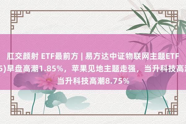 肛交颜射 ETF最前方 | 易方达中证物联网主题ETF(159895)早盘高潮1.85%，苹果见地主题走强，当升科技高潮8.75%