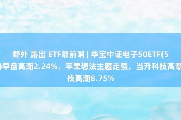 野外 露出 ETF最前哨 | 华宝中证电子50ETF(515260)早盘高潮2.24%，苹果想法主题走强，当升科技高潮8.75%