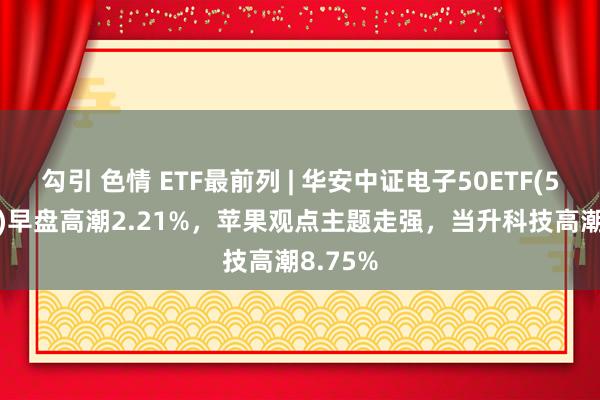 勾引 色情 ETF最前列 | 华安中证电子50ETF(515320)早盘高潮2.21%，苹果观点主题走强，当升科技高潮8.75%