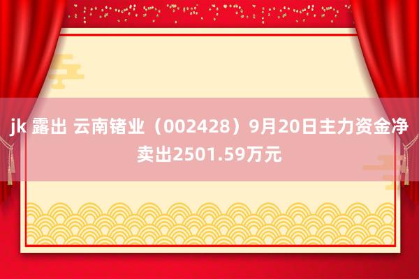 jk 露出 云南锗业（002428）9月20日主力资金净卖出2501.59万元