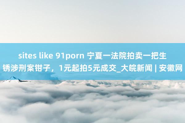 sites like 91porn 宁夏一法院拍卖一把生锈涉刑案钳子，1元起拍5元成交_大皖新闻 | 安徽网