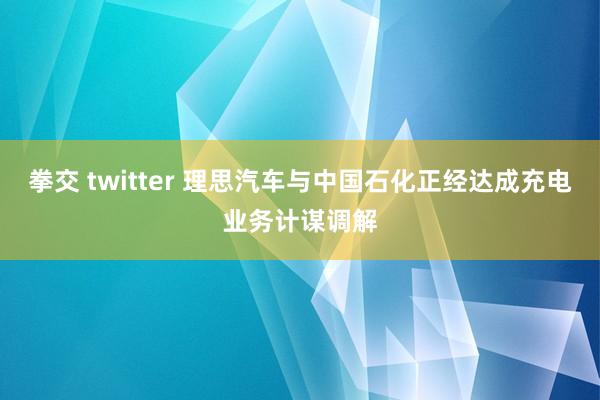 拳交 twitter 理思汽车与中国石化正经达成充电业务计谋调解