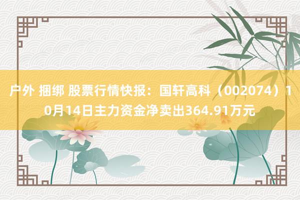 户外 捆绑 股票行情快报：国轩高科（002074）10月14日主力资金净卖出364.91万元