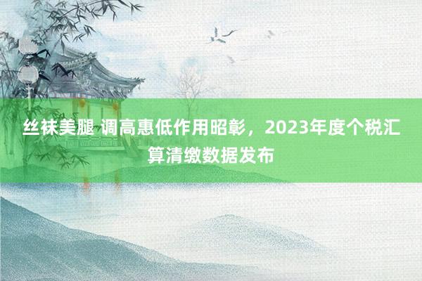 丝袜美腿 调高惠低作用昭彰，2023年度个税汇算清缴数据发布