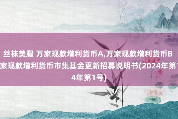 丝袜美腿 万家现款增利货币A,万家现款增利货币B : 万家现款增利货币市集基金更新招募说明书(2024年第1号)