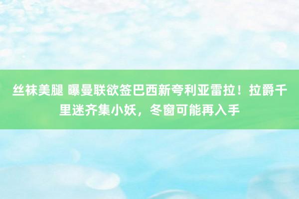 丝袜美腿 曝曼联欲签巴西新夸利亚雷拉！拉爵千里迷齐集小妖，冬窗可能再入手