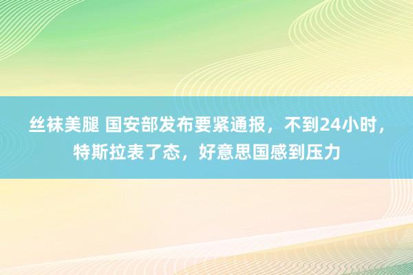 丝袜美腿 国安部发布要紧通报，不到24小时，特斯拉表了态，好意思国感到压力