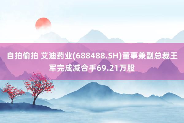 自拍偷拍 艾迪药业(688488.SH)董事兼副总裁王军完成减合手69.21万股