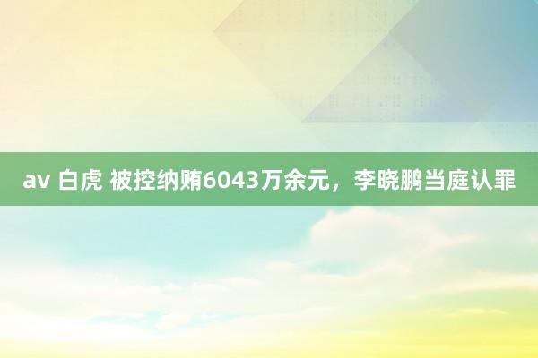 av 白虎 被控纳贿6043万余元，李晓鹏当庭认罪