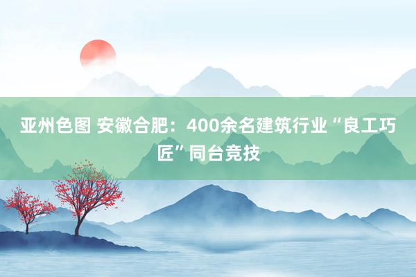 亚州色图 安徽合肥：400余名建筑行业“良工巧匠”同台竞技