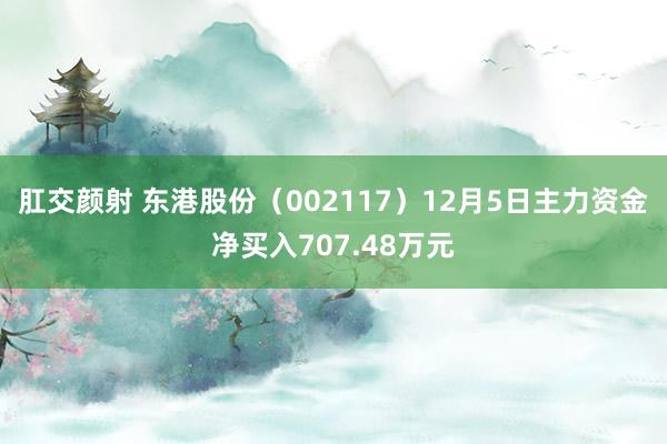 肛交颜射 东港股份（002117）12月5日主力资金净买入707.48万元