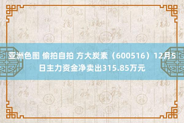 亚洲色图 偷拍自拍 方大炭素（600516）12月5日主力资金净卖出315.85万元