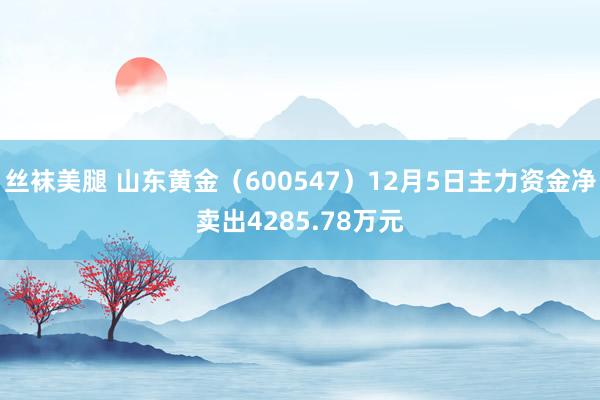 丝袜美腿 山东黄金（600547）12月5日主力资金净卖出4285.78万元