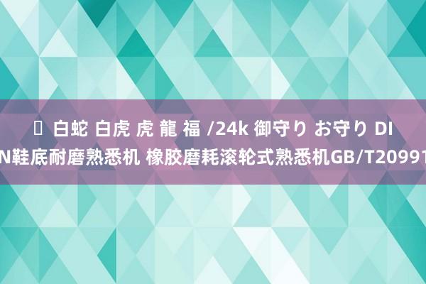 ✨白蛇 白虎 虎 龍 福 /24k 御守り お守り DIN鞋底耐磨熟悉机 橡胶磨耗滚轮式熟悉机GB/T20991