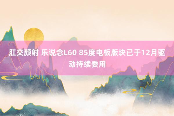 肛交颜射 乐说念L60 85度电板版块已于12月驱动持续委用