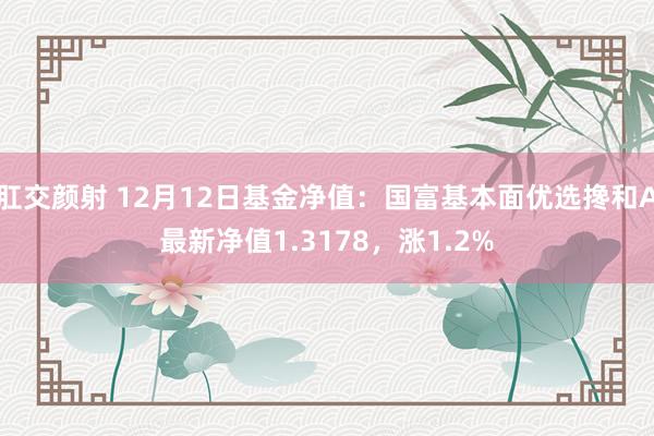 肛交颜射 12月12日基金净值：国富基本面优选搀和A最新净值1.3178，涨1.2%