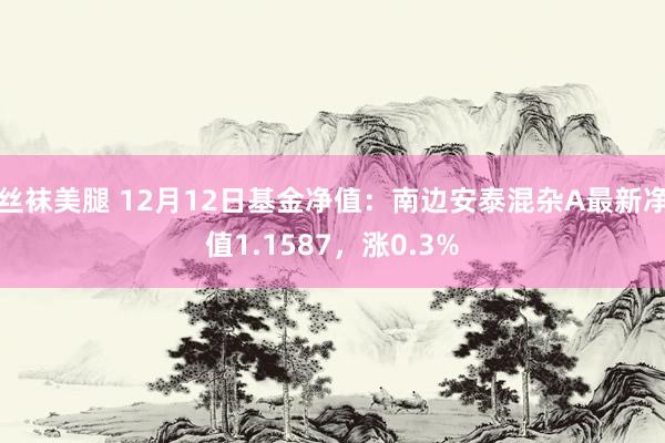 丝袜美腿 12月12日基金净值：南边安泰混杂A最新净值1.1587，涨0.3%