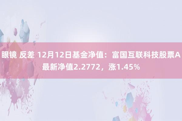 眼镜 反差 12月12日基金净值：富国互联科技股票A最新净值2.2772，涨1.45%