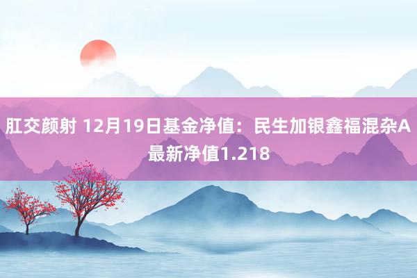 肛交颜射 12月19日基金净值：民生加银鑫福混杂A最新净值1.218