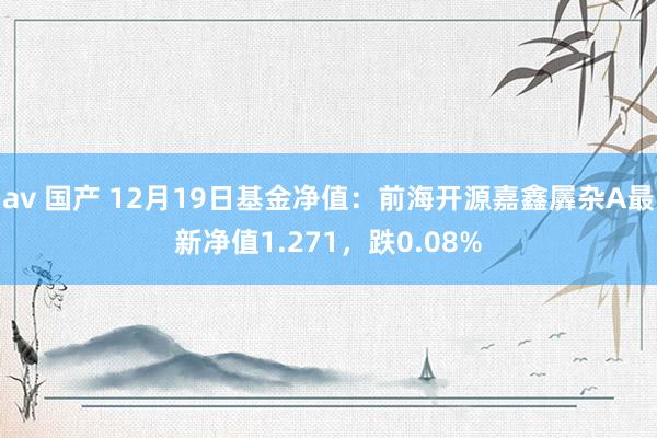 av 国产 12月19日基金净值：前海开源嘉鑫羼杂A最新净值1.271，跌0.08%