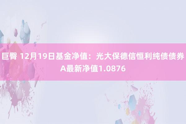 巨臀 12月19日基金净值：光大保德信恒利纯债债券A最新净值1.0876