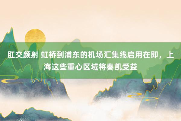 肛交颜射 虹桥到浦东的机场汇集线启用在即，上海这些重心区域将奏凯受益