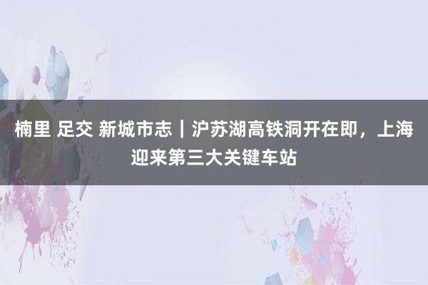 楠里 足交 新城市志｜沪苏湖高铁洞开在即，上海迎来第三大关键车站