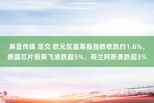 麻豆传媒 足交 欧元区蓝筹股指数收跌约1.6%，德国芯片股英飞凌跌超5%，荷兰阿斯麦跌超3%