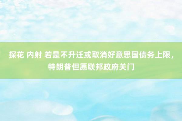 探花 内射 若是不升迁或取消好意思国债务上限，特朗普但愿联邦政府关门