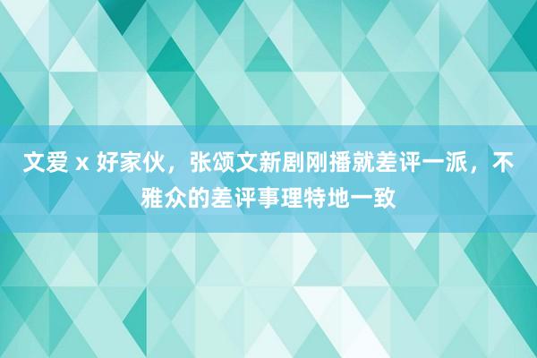 文爱 x 好家伙，张颂文新剧刚播就差评一派，不雅众的差评事理特地一致