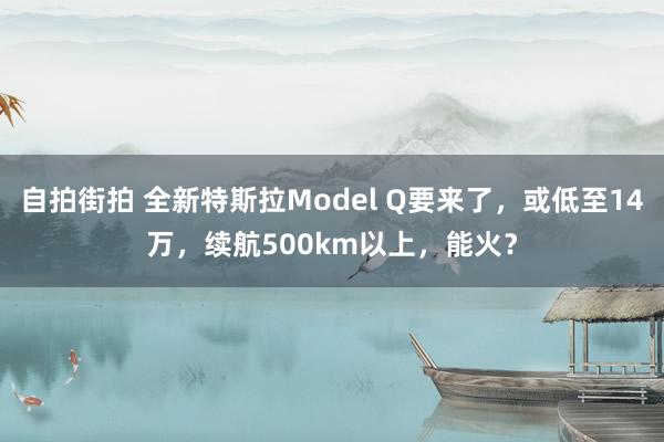 自拍街拍 全新特斯拉Model Q要来了，或低至14万，续航500km以上，能火？