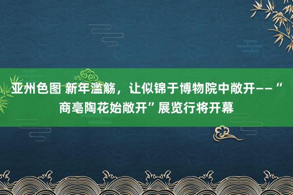 亚州色图 新年滥觞，让似锦于博物院中敞开——“商亳陶花始敞开”展览行将开幕