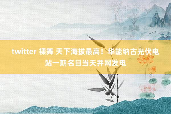 twitter 裸舞 天下海拔最高！华能纳古光伏电站一期名目当天并网发电