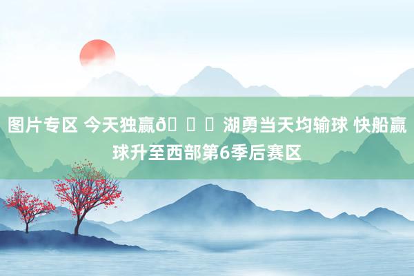 图片专区 今天独赢😎湖勇当天均输球 快船赢球升至西部第6季后赛区