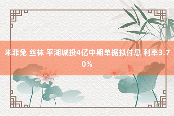 米菲兔 丝袜 平湖城投4亿中期单据拟付息 利率3.70%