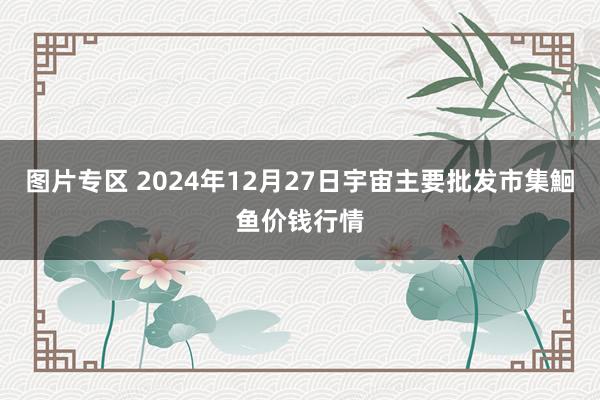 图片专区 2024年12月27日宇宙主要批发市集鮰鱼价钱行情