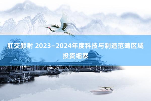 肛交颜射 2023—2024年度科技与制造范畴区域投资细察