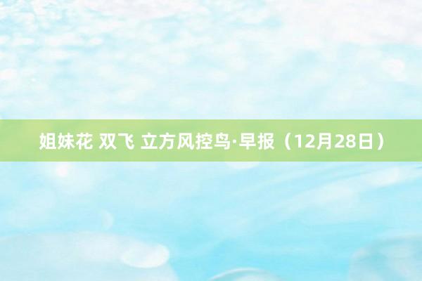 姐妹花 双飞 立方风控鸟·早报（12月28日）