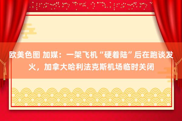 欧美色图 加媒：一架飞机“硬着陆”后在跑谈发火，加拿大哈利法克斯机场临时关闭