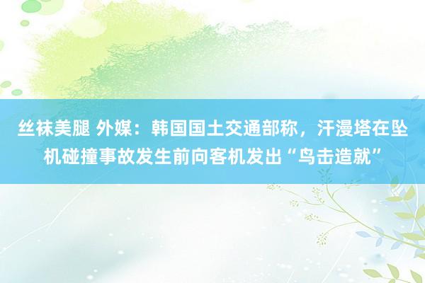 丝袜美腿 外媒：韩国国土交通部称，汗漫塔在坠机碰撞事故发生前向客机发出“鸟击造就”