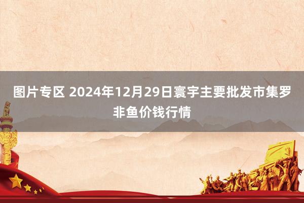 图片专区 2024年12月29日寰宇主要批发市集罗非鱼价钱行