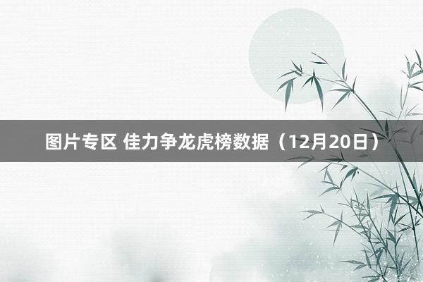 图片专区 佳力争龙虎榜数据（12月20日）