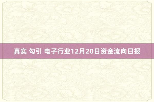 真实 勾引 电子行业12月20日资金流向日报