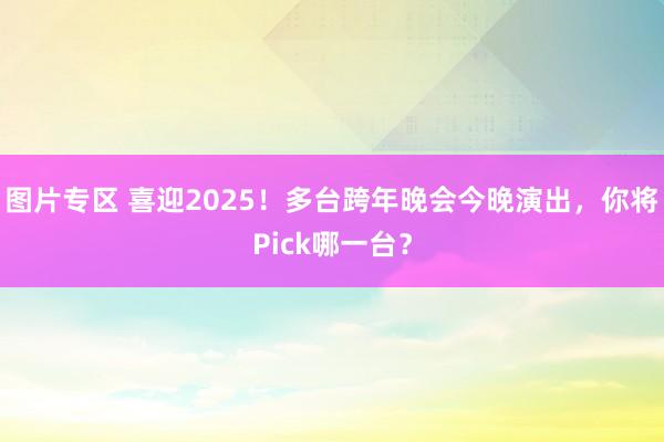 图片专区 喜迎2025！多台跨年晚会今晚演出，你将Pick哪一台？