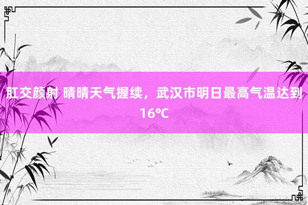 肛交颜射 晴晴天气握续，武汉市明日最高气温达到16℃